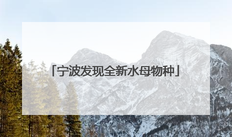 宁波发现全新水母物种