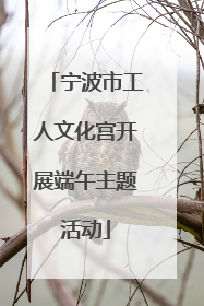 宁波市工人文化宫开展端午主题活动