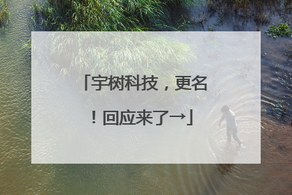 宇树科技，更名！回应来了→