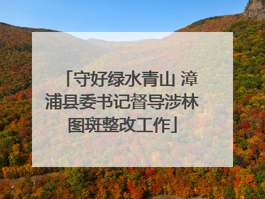 守好绿水青山 漳浦县委书记督导涉林图斑整改工作