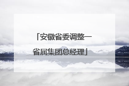 安徽省委调整一省属集团总经理