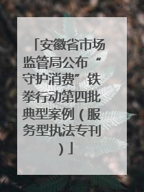 安徽省市场监管局公布“守护消费”铁拳行动第四批典型案例（服务型执法专刊）