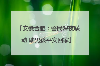 安徽合肥：警民深夜联动 助男孩平安回家