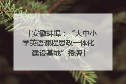 安徽蚌埠：“大中小学英语课程思政一体化建设基地”授牌