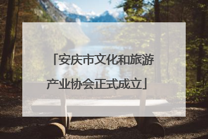 安庆市文化和旅游产业协会正式成立