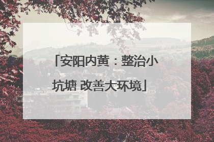 安阳内黄：整治小坑塘 改善大环境