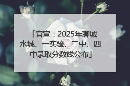 官宣：2025年聊城水城、一实验、二中、四中录取分数线公布