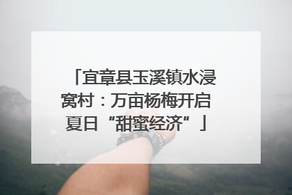 宜章县玉溪镇水浸窝村：万亩杨梅开启夏日“甜蜜经济”