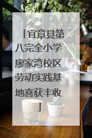 宜章县第八完全小学廖家湾校区劳动实践基地喜获丰收