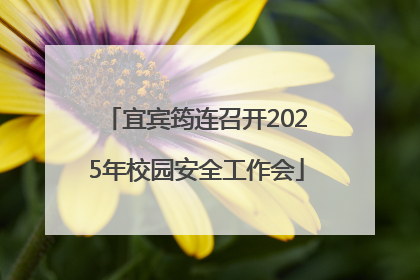 宜宾筠连召开2025年校园安全工作会