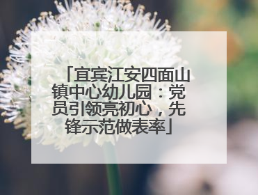 宜宾江安四面山镇中心幼儿园：党员引领亮初心，先锋示范做表率
