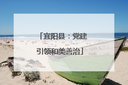 宜阳县：党建引领和美善治