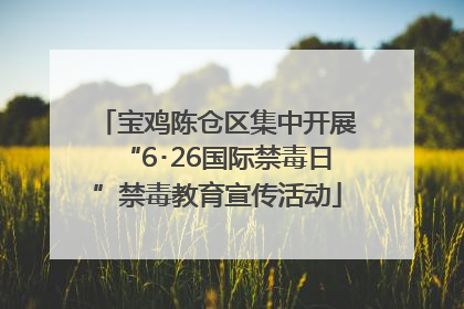 宝鸡陈仓区集中开展“6･26国际禁毒日”禁毒教育宣传活动