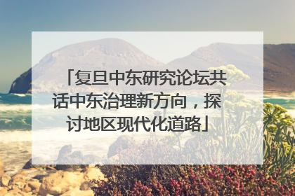 复旦中东研究论坛共话中东治理新方向，探讨地区现代化道路