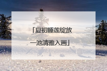 夏初睡莲绽放 一池清雅入画