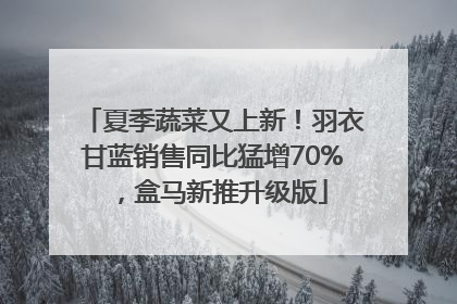 夏季蔬菜又上新！羽衣甘蓝销售同比猛增70%，盒马新推升级版