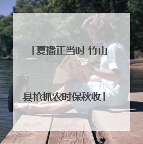 夏播正当时 竹山县抢抓农时保秋收