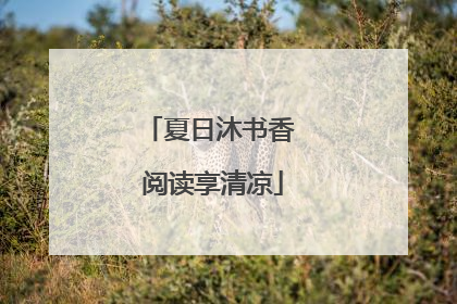 夏日沐书香 阅读享清凉