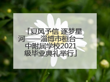 夏风予信 逐梦星河——淄博市桓台一中附属学校2021级毕业典礼举行
