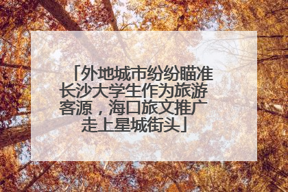 外地城市纷纷瞄准长沙大学生作为旅游客源，海口旅文推广走上星城街头