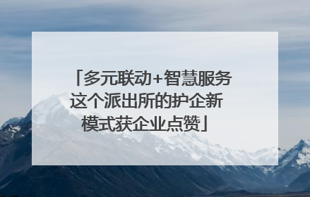 多元联动+智慧服务 这个派出所的护企新模式获企业点赞