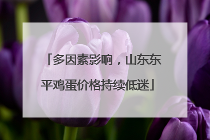 多因素影响，山东东平鸡蛋价格持续低迷