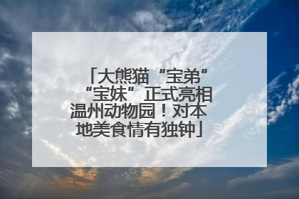 大熊猫“宝弟”“宝妹”正式亮相温州动物园！对本地美食情有独钟