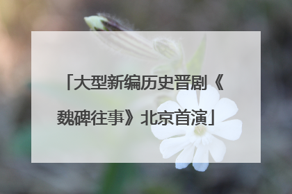 大型新编历史晋剧《魏碑往事》北京首演