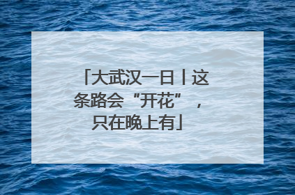 大武汉一日丨这条路会“开花”，只在晚上有