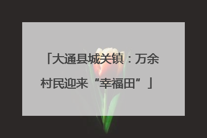 大通县城关镇：万余村民迎来“幸福田”