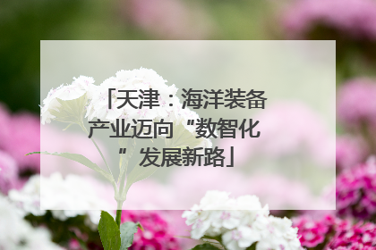 天津：海洋装备产业迈向“数智化”发展新路