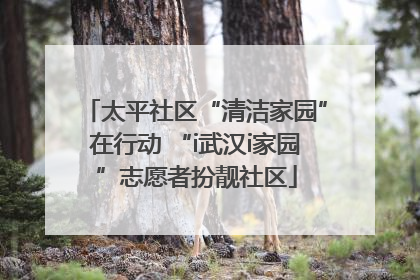 太平社区“清洁家园”在行动 “i武汉i家园”志愿者扮靓社区