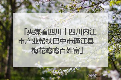 央媒看四川丨四川内江市产业帮扶巴中市通江县 梅花鸡鸣百姓富