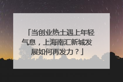 当创业热土遇上年轻气息，上海南汇新城发展如何再发力？