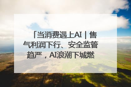 当消费遇上AI｜售气利润下行、安全监管趋严，AI浪潮下城燃企业如何破局