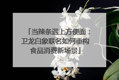 当辣条遇上方便面：卫龙白象联名如何重构食品消费新场景