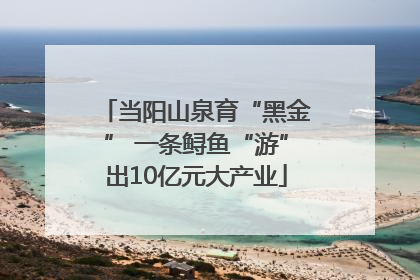 当阳山泉育“黑金” 一条鲟鱼“游”出10亿元大产业