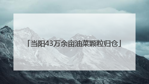 当阳43万余亩油菜颗粒归仓