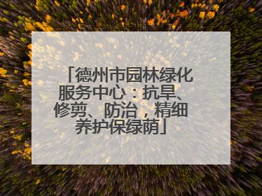 德州市园林绿化服务中心：抗旱、修剪、防治，精细养护保绿荫