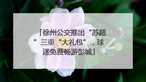 徐州公交推出“苏超”三重“大礼包”，球迷免费畅游彭城