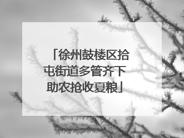 徐州鼓楼区拾屯街道多管齐下助农抢收夏粮