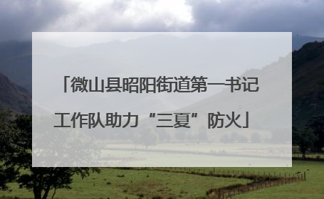 微山县昭阳街道第一书记工作队助力“三夏”防火