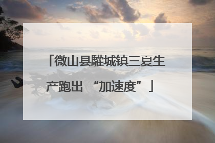 微山县驩城镇三夏生产跑出 “加速度”