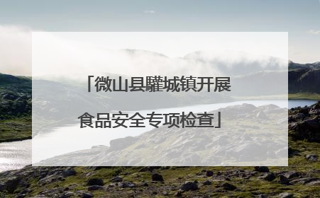 微山县驩城镇开展食品安全专项检查