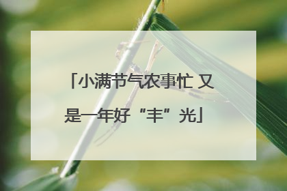 小满节气农事忙 又是一年好“丰”光