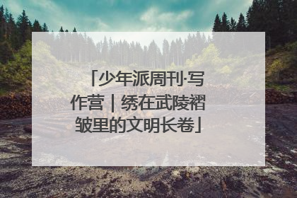 少年派周刊·写作营｜绣在武陵褶皱里的文明长卷