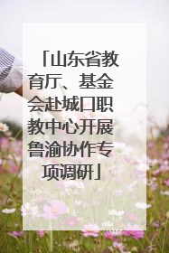 山东省教育厅、基金会赴城口职教中心开展鲁渝协作专项调研