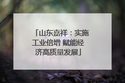 山东嘉祥：实施工业倍增 赋能经济高质量发展