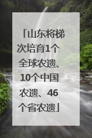山东将梯次培育1个全球农遗、10个中国农遗、46个省农遗