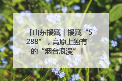 山东援藏｜援藏“5288”，高原上独有的“烟台浪漫”